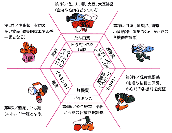 栄養指導 診療のご案内 谷根千クリニック 文京区根津 台東区谷中の内科 消化器内科 外科